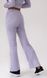 Жіночі велюрові спортивні штани Н&М (56856) S Фіолетові 56856 фото 4