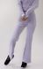 Жіночі велюрові спортивні штани Н&М (56856) S Фіолетові 56856 фото 1