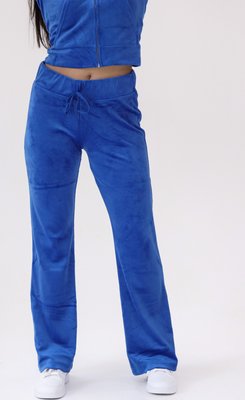 Женские велюровые спортивные штаны H&M (56857) S Синие 56857 фото